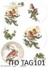 Cartón para bolas de Navidad TAG0101